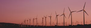 wind farms in the sunset